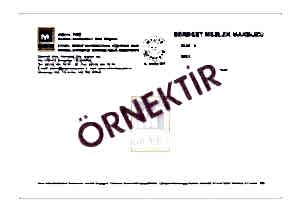 serbest meslek makbuzu 300x211 - SERBEST MESLEK MAKBUZU