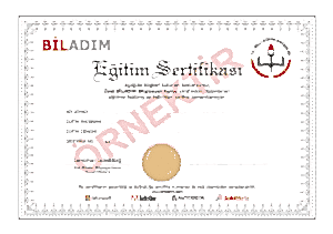 Biladım Sertifika 300x211 - Biladım Sertifika